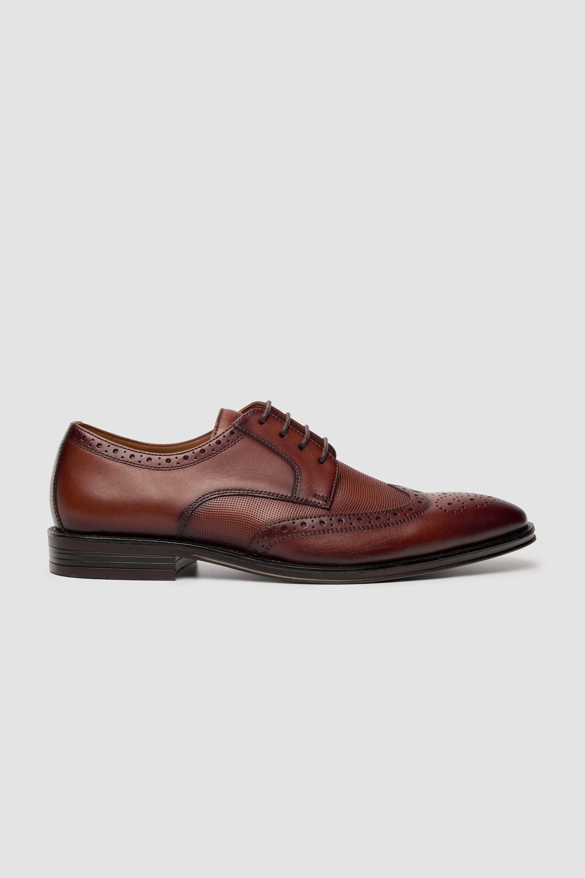 Cavani Lorenzo Schoenen Tan - Wingtip Brogue