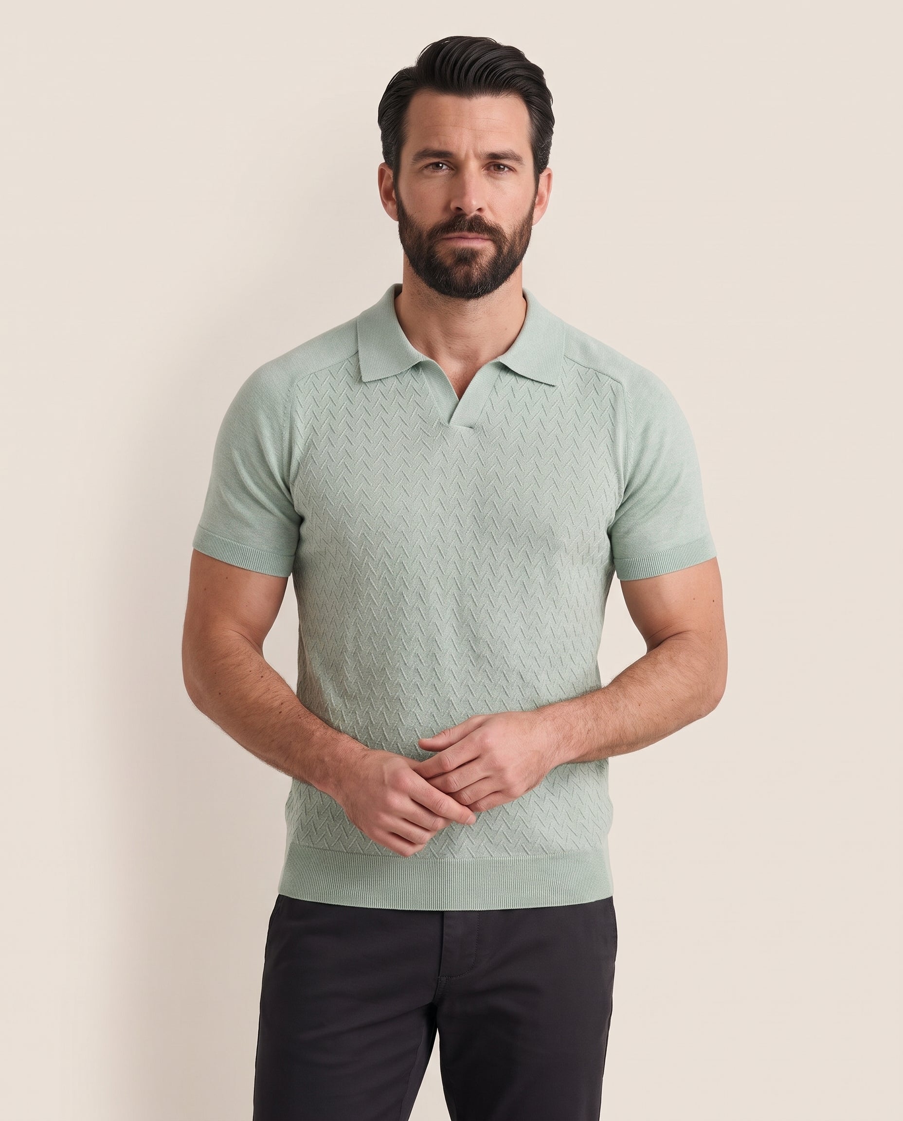 Cavani Turin Sage - Gebreide polo heren – modelfoto